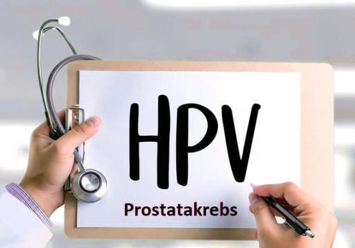 HPV Viren und Prostatakrebs